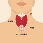 报告上N次出现的“甲状腺结节”，到底离癌症多