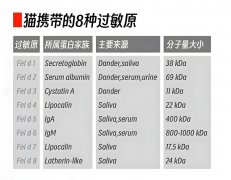 过敏性鼻炎为何在养猫多年后才爆发？ ＂铲屎官
