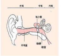 外耳道炎的预防