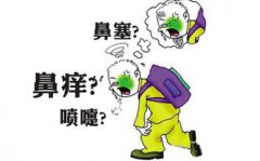 过敏性鼻炎的预防