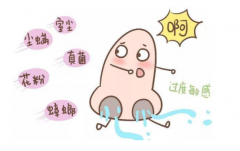 过敏性鼻炎，为什么总也治不好？