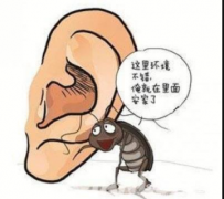 一不小心耳朵进水、进虫……怎么办？