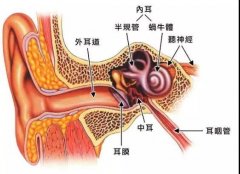 外耳道炎的症状有哪些