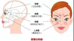 鼻炎与鼻窦炎的区别是什么？