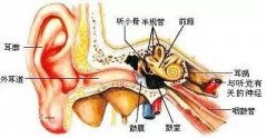 耳朵痒的原因有哪些?