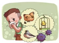 过敏性鼻炎的误区有哪些