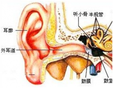 生活中怎么有效护理外耳道炎