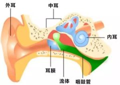 左耳朵里面疼是怎么回事?